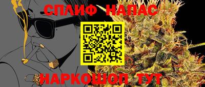 гидра Донской