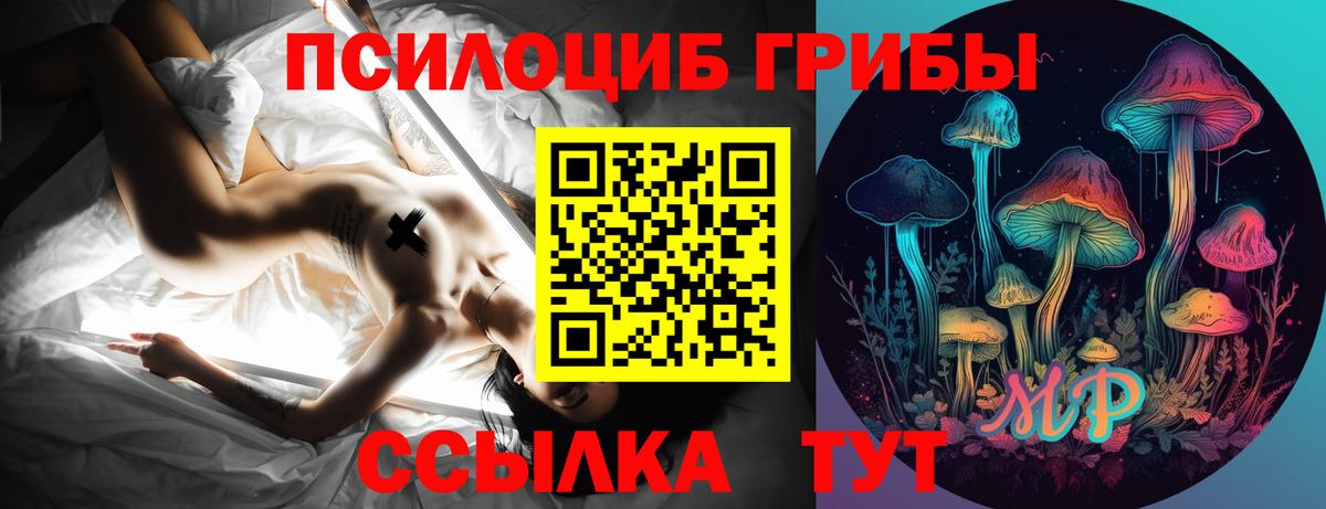 купить наркотики цена  Галлюциногенные грибы GOLDEN TEACHER  Вход с VPN  Майкоп  Галлюциногенные грибы MAGIC MUSHROOMS 