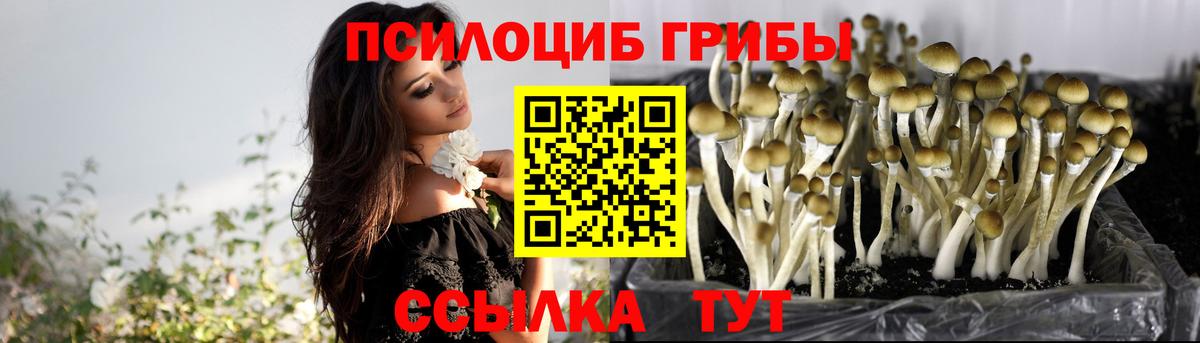 Галлюциногенные грибы MAGIC MUSHROOMS Майкоп